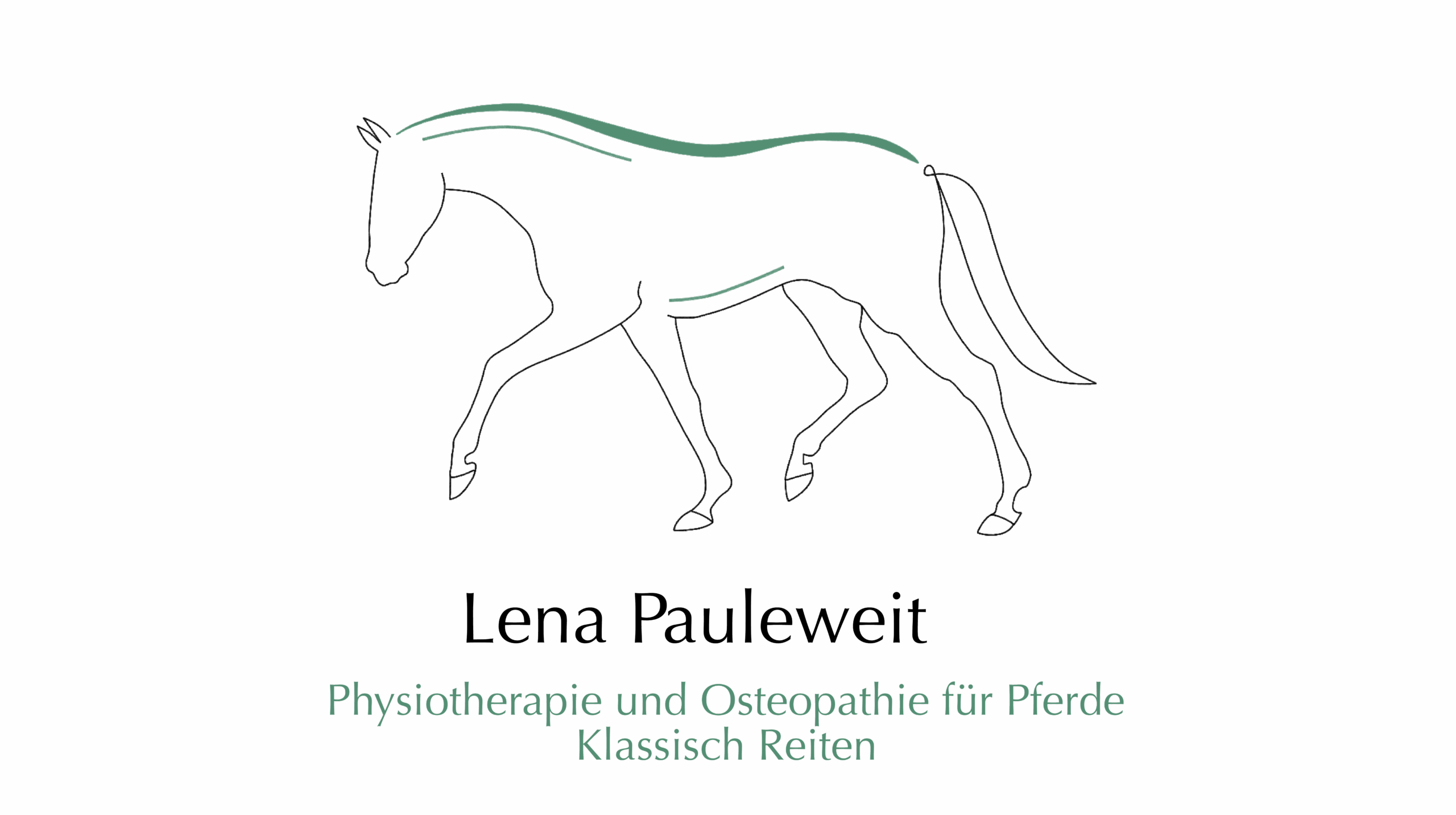 Lena Pauleweit - Reitunterricht & Manuelle Therapie für Pferde